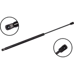 Order Lift Support by FCS AUTOMOTIVE - 87047 For Your Vehicle