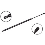 Order FCS AUTOMOTIVE - 87061 - Liftgate Lift Support For Your Vehicle