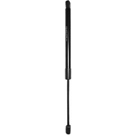 Order FCS AUTOMOTIVE - 87066 - Tailgate Lift Support For Your Vehicle