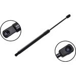 Order FCS AUTOMOTIVE - 87066 - Tailgate Lift Support For Your Vehicle