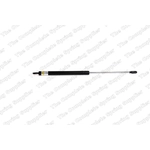 Order Lift Support by LESJOFORS - 8008407 For Your Vehicle