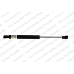 Order Support de levage de LESJOFORS - 8008410 For Your Vehicle