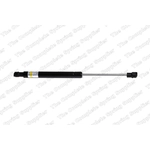 Order Support de levage de LESJOFORS - 8008414 For Your Vehicle