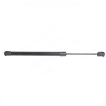 Order LESJOFORS - 8062005 - Hood Lift Support For Your Vehicle