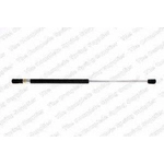 Order Lift Support by LESJOFORS - 8077802 For Your Vehicle