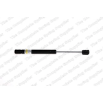 Order Lift Support by LESJOFORS - 8095804 For Your Vehicle