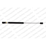Order Lift Support by LESJOFORS - 8104210 For Your Vehicle