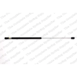 Order Lift Support by LESJOFORS - 8104211 For Your Vehicle