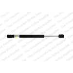 Order Lift Support by LESJOFORS - 8104232 For Your Vehicle