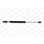 Order Lift Support by LESJOFORS - 8108411 For Your Vehicle