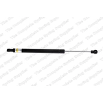 Order Lift Support by LESJOFORS - 8108423 For Your Vehicle