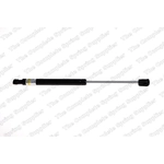 Order Lift Support by LESJOFORS - 8135730 For Your Vehicle