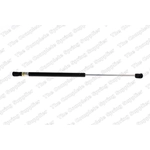 Order Lift Support by LESJOFORS - 8137222 For Your Vehicle