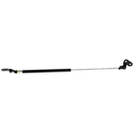 Order LESJOFORS - 8162002 - Driver Side Liftgate Lift Support For Your Vehicle