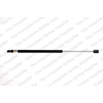 Order Lift Support by LESJOFORS - 8162028 For Your Vehicle