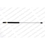 Order Lift Support by LESJOFORS - 8175718 For Your Vehicle