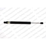 Order Lift Support by LESJOFORS - 8177822 For Your Vehicle