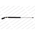 Order Lift Support by LESJOFORS - 8188303 For Your Vehicle