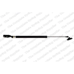 Order Lift Support by LESJOFORS - 8192543 For Your Vehicle