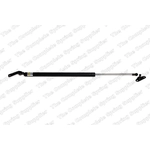 Order Lift Support by LESJOFORS - 8192544 For Your Vehicle