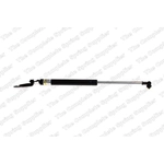 Order Lift Support by LESJOFORS - 8192562 For Your Vehicle
