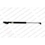 Order Lift Support by LESJOFORS - 8192563 For Your Vehicle