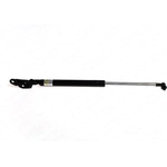 Order LESJOFORS - 8192563 - Lift Support For Your Vehicle