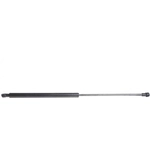 Order LESJOFORS - 8192578 - Lift Support For Your Vehicle