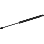 Purchase MONROE/EXPERT SERIES - 900076 - Lift Support
