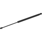Purchase MONROE/EXPERT SERIES - 900117 - Lift Support