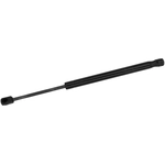Purchase MONROE/EXPERT SERIES - 900219 - Lift Support