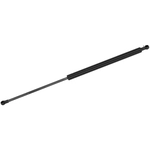 Purchase MONROE/EXPERT SERIES - 900248 - Lift Support