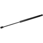 Purchase MONROE/EXPERT SERIES - 901512 - Lift Support