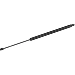 Purchase MONROE/EXPERT SERIES - 901618 - Lift Support