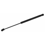 Purchase MONROE/EXPERT SERIES - 901884 - Lift Support
