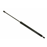 Order SACHS - SG101005 - Lift Support For Your Vehicle