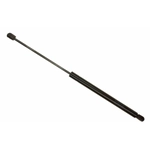 Order SACHS - SG204039 - Lift Support For Your Vehicle