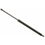 Order SACHS - SG229037 - Lift Support For Your Vehicle