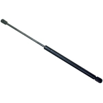 Order Lift Support by SACHS - SG330096 For Your Vehicle