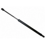Order Support de levage de SACHS - SG330092 For Your Vehicle