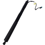 Order Lift Support by SKP - SKPL615043 For Your Vehicle