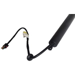 Order SKP - SKPL615056 - Right Liftgate Lift Support For Your Vehicle