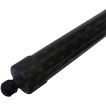 Order SKP - SKPL615064 - Lift Support For Your Vehicle