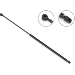 Order Lift Support by STABILUS - 1F061463 For Your Vehicle