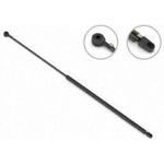 Order Lift Support by STABILUS - 1F061224 For Your Vehicle