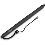 Order Lift Support by STABILUS - 2A118362 For Your Vehicle