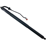 Order Lift Support by STABILUS - 2A275624 For Your Vehicle