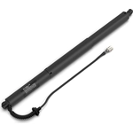 Order Lift Support by STABILUS - 2A347323 For Your Vehicle