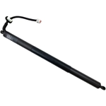 Order Lift Support by STABILUS - 2A711557 For Your Vehicle