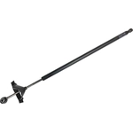 Order Lift Support by STABILUS - 2B2761MI For Your Vehicle